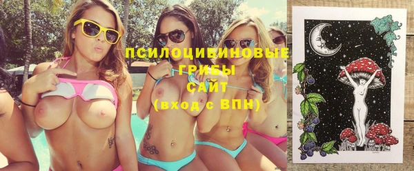 спайс Баксан