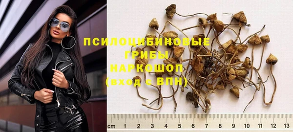 спайс Баксан