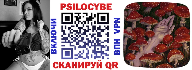 гидра рабочий сайт  Обь  Псилоцибиновые грибы Psilocybe 